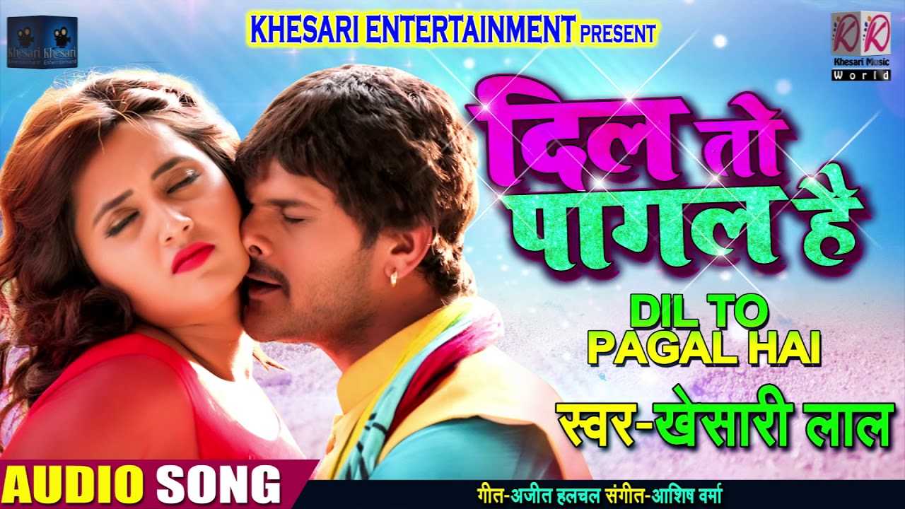 dil to pagal he torrent download